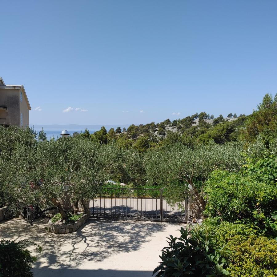 Apartments Villa Cizmic Baška Voda المظهر الخارجي الصورة