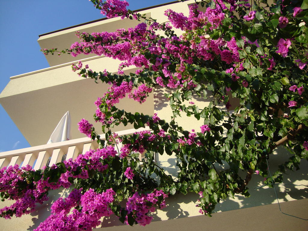 Apartments Villa Cizmic Baška Voda المظهر الخارجي الصورة