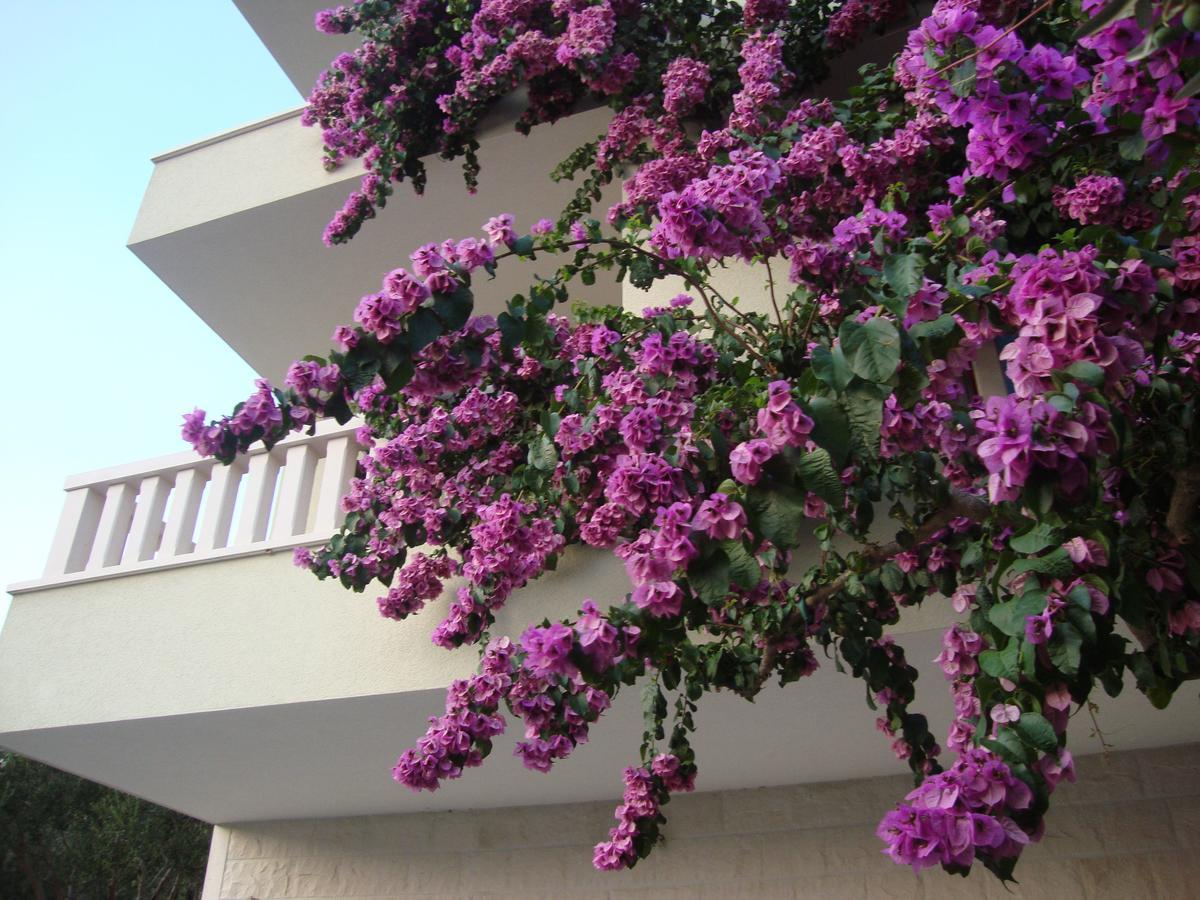 Apartments Villa Cizmic Baška Voda المظهر الخارجي الصورة